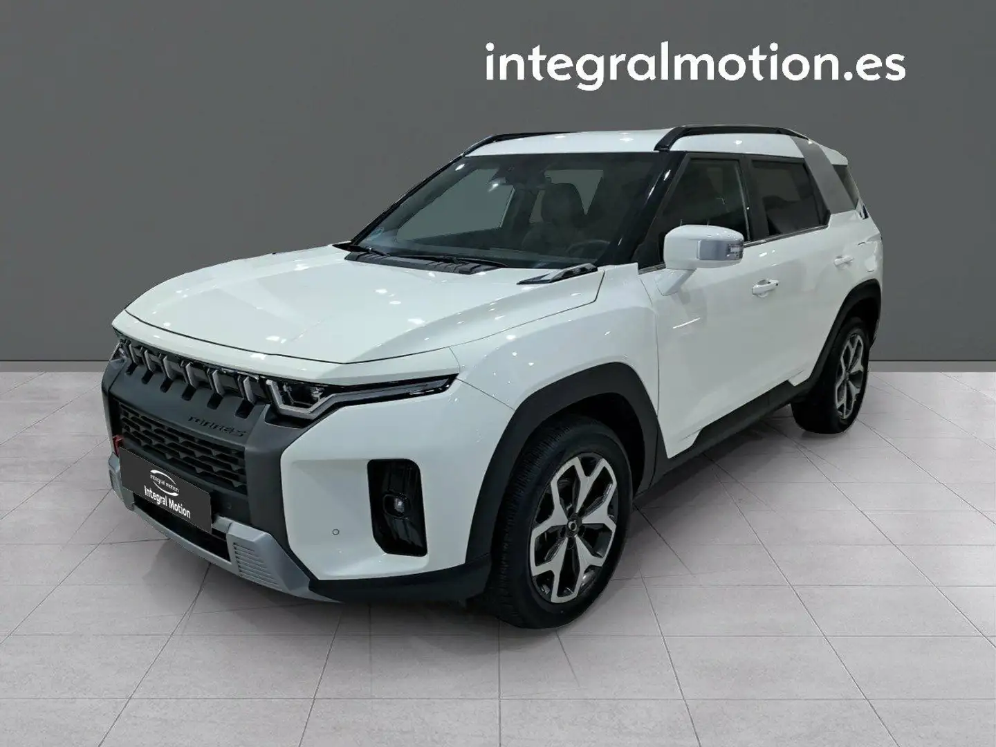 SsangYong Torres G15 Life Gris - 1