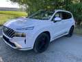 Hyundai SANTA FE SANTA FE Diesel 2.2 CRDi 4WD SEVEN Signature Blanc - thumbnail 9