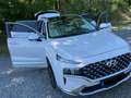 Hyundai SANTA FE SANTA FE Diesel 2.2 CRDi 4WD SEVEN Signature Blanc - thumbnail 24