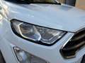 Ford EcoSport Titanium 1.0 EcoBoost Bianco - thumbnail 10