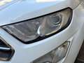 Ford EcoSport Titanium 1.0 EcoBoost Bianco - thumbnail 9