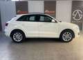 Audi Q3 Q3 I 2011 2.0 tdi Advanced Plus 140cv Bianco - thumbnail 4