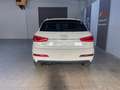Audi Q3 Q3 I 2011 2.0 tdi Advanced Plus 140cv Bianco - thumbnail 6