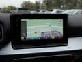 SEAT Ibiza 1.0 TSI Black Edition DSG NAVI PANO KAM Weiß - thumbnail 13