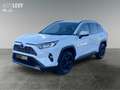 Toyota RAV 4 RAV4 2.5 Hybrid 4x4 Team D *KLIMA*SHZ*LHZ*PDC*LM White - thumbnail 2