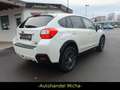 Subaru XV Comfort White - thumbnail 4