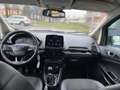 Ford EcoSport 1.0 ecoboost Titanium s&s 125cv my20.25 Grigio - thumbnail 12