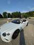 Bentley Continental GTC w12 Alb - thumbnail 6