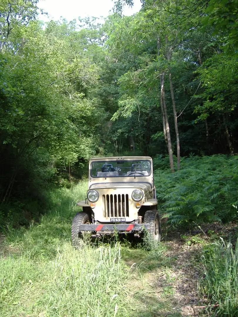 Jeep cj 6 - 1