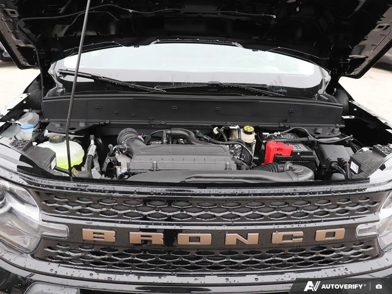 Ford Bronco Sport снимка Ford Bronco Sport