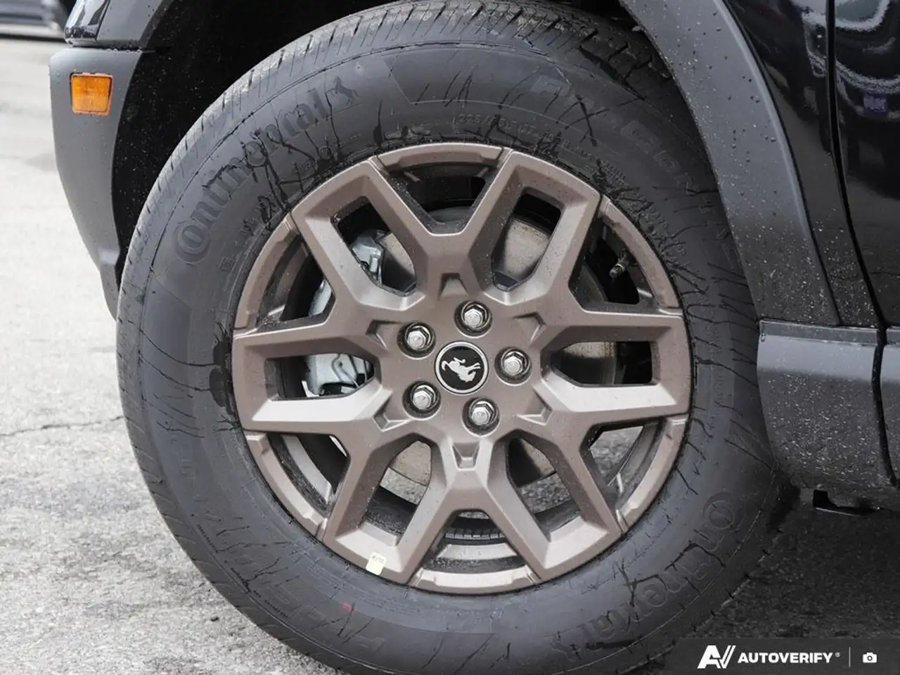 Ford Bronco Sport снимка Ford Bronco Sport