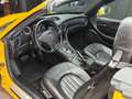 Maserati Spyder 4200 Spyder GT*MEMORY*PDC*16.000km*V8*SAMMLER Gelb - thumbnail 18