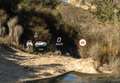 Mercedes-Benz GLS 400 4Matic Aut. Weiß - thumbnail 41
