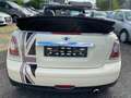 MINI Cooper Cabrio Cooper Klima Leder Alb - thumbnail 3