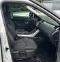 Land Rover Range Rover Evoque Range Rover Evoque 2.0 TD4 150 CV 5p. Pure Weiß - thumbnail 10