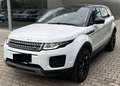 Land Rover Range Rover Evoque Range Rover Evoque 2.0 TD4 150 CV 5p. Pure Weiß - thumbnail 1