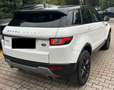 Land Rover Range Rover Evoque Range Rover Evoque 2.0 TD4 150 CV 5p. Pure Weiß - thumbnail 5