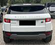 Land Rover Range Rover Evoque Range Rover Evoque 2.0 TD4 150 CV 5p. Pure Weiß - thumbnail 6