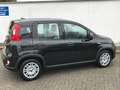 Fiat Panda 1.0 GSE Hybrid 2024 Sitzheizung Fahrerseit Schwarz - thumbnail 7