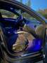 Audi A5 Sportback 2.0 TDI S-tronic quattro 3*S-Line Grau - thumbnail 24