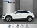 Audi Q8 quattro 50 TDI Tiptronic *AHK*LED*RFK*NAVI Weiß - thumbnail 2