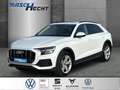 Audi Q8 quattro 50 TDI Tiptronic *AHK*LED*RFK*NAVI Weiß - thumbnail 1