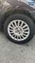Fiat Punto Punto 1.2 8V 5 porte Street Azul - thumbnail 5