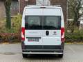 Fiat Ducato 3.0 Natural Power/CNG/Benzin 9 Sitze Pdc Weiß - thumbnail 43