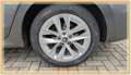 Skoda Octavia Combi Style 1.5 eTSI DSG ACC AAC HUD LED Grau - thumbnail 36