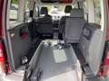 Volkswagen Caddy Roncalli Behindertengerecht Rampe Rot - thumbnail 14