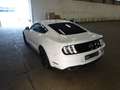 Ford Mustang Fastback 2.3 Eco Boost Aut. B&O-Sound Bianco - thumbnail 4