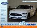 Ford Mustang Fastback 2.3 Eco Boost Aut. B&O-Sound Bianco - thumbnail 1