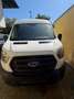 Ford Transit Kasten 2.0 EcoBlue L3H2 350 Trend Weiß - thumbnail 2