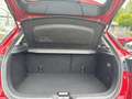 Mazda CX-3 L SKYACTIV-G 121 FWD 6GS EXCLUSIVE NAV ALLWETTER Rot - thumbnail 13