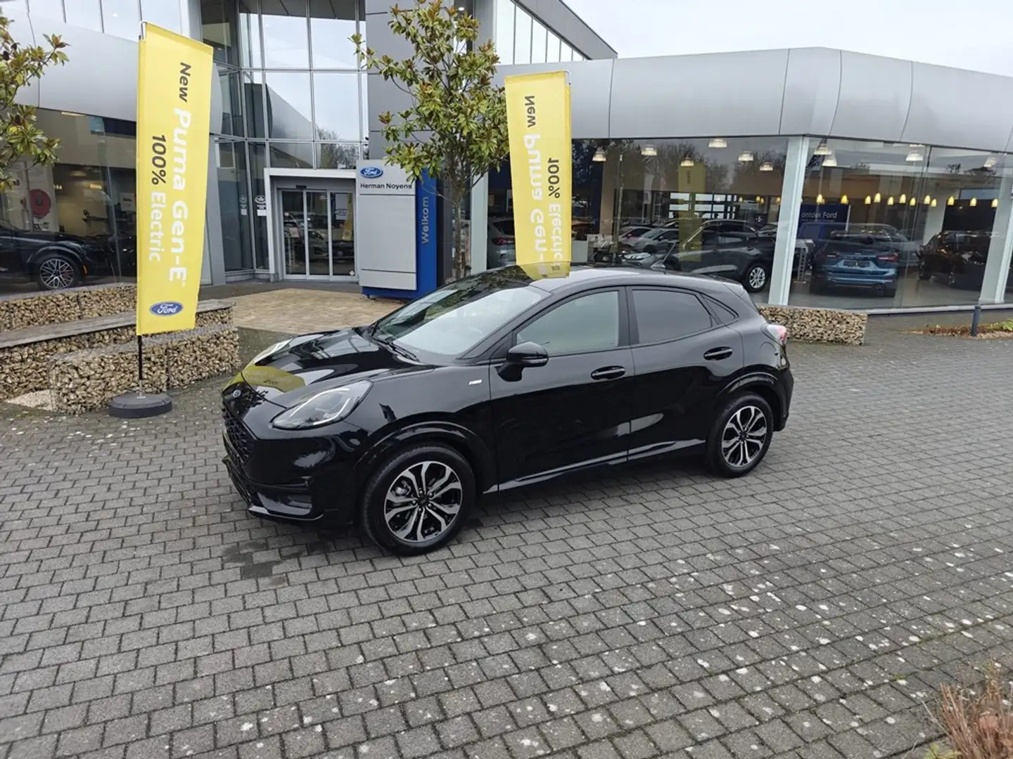 ford puma