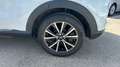 Ford Puma 1.0 ECOBOOST 92KW MHEV TITANIUM DCT 125 5P Blanco - thumbnail 5