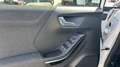 Ford Puma 1.0 ECOBOOST 92KW MHEV TITANIUM DCT 125 5P Blanco - thumbnail 19