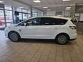 Ford S-Max 2.0 Titanium Alu, Klima, 7-Sitzer, Weiß - thumbnail 11
