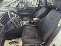 Ford S-Max 2.0 Titanium Alu, Klima, 7-Sitzer, Weiß - thumbnail 32