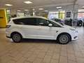 Ford S-Max 2.0 Titanium Alu, Klima, 7-Sitzer, Weiß - thumbnail 5