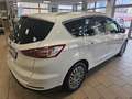 Ford S-Max 2.0 Titanium Alu, Klima, 7-Sitzer, Weiß - thumbnail 7