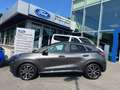 Ford Puma Titanium Navi Fahrerassistenz-+Winter-Paket ! MHEV Grau - thumbnail 4
