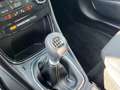 Ford Puma Titanium Navi Fahrerassistenz-+Winter-Paket ! MHEV Grau - thumbnail 9