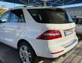 Mercedes-Benz ML 250 Classe ML Sport 4matic auto Wit - thumbnail 6