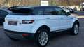 Land Rover Range Rover Evoque Prestige 2,2 TD4 Aut. Weiß - thumbnail 4