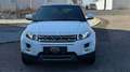 Land Rover Range Rover Evoque Prestige 2,2 TD4 Aut. Weiß - thumbnail 2