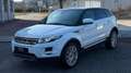 Land Rover Range Rover Evoque Prestige 2,2 TD4 Aut. Weiß - thumbnail 3