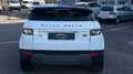 Land Rover Range Rover Evoque Prestige 2,2 TD4 Aut. Weiß - thumbnail 5