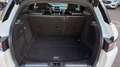 Land Rover Range Rover Evoque Prestige 2,2 TD4 Aut. Weiß - thumbnail 11