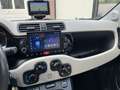 Fiat Panda 0.9 TwinAir Lounge Navi Camera Violett - thumbnail 12